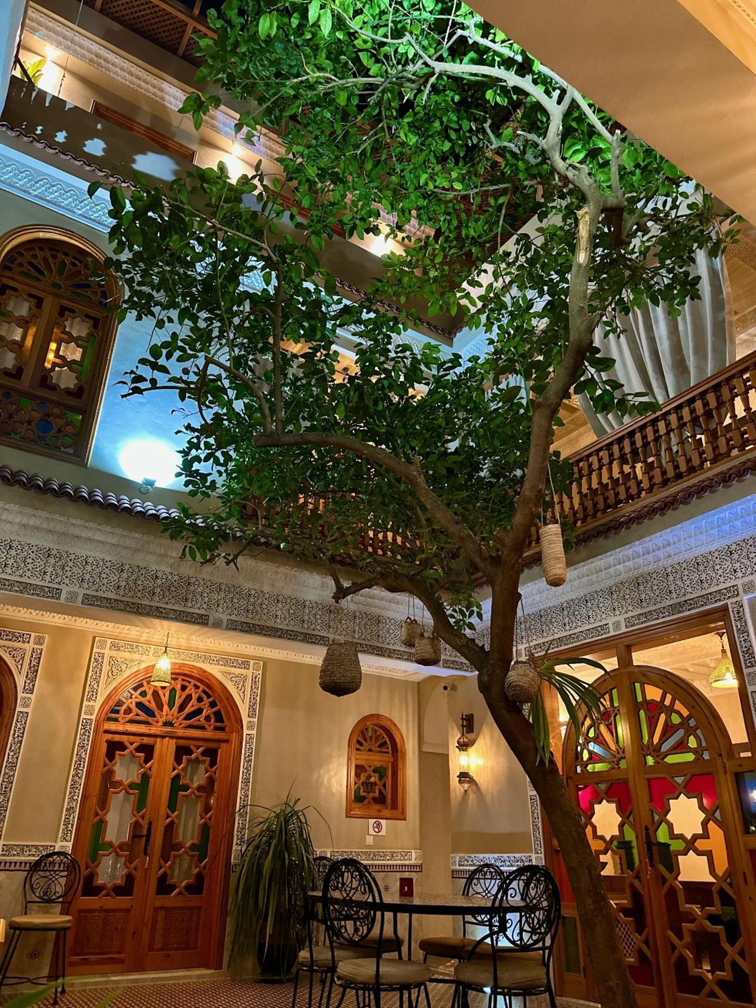 Riad Shajara มาร์ราเกช ภายนอก รูปภาพ